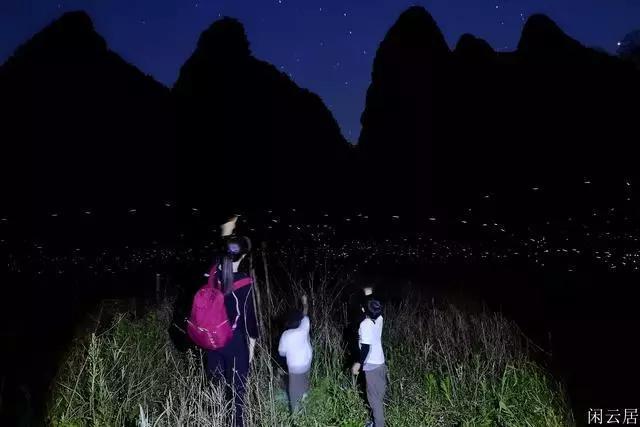 梦幻西游3D